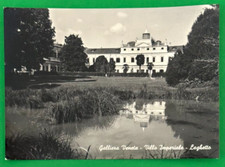 Galliera veneta padova usato  Anguillara Sabazia
