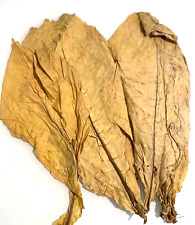 Virginia gold tabakblätter gebraucht kaufen Virginia gold tabakblätter gebraucht kaufen  Veitshöchheim