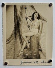 lily munster for sale lily munster for sale Antrim