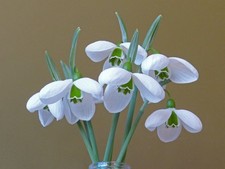 Galanthus melanie broughton for sale  UK