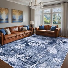 Area rug living for sale  Westford