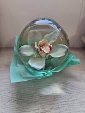 Decoração preservada globo flor orquídea Bill Doran México 7" verde-azulado transparente Gorg!! comprar usado  Enviando para Brazil