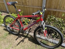 Kona muni mula for sale  FAREHAM