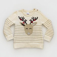 Holiday time sweater for sale  Pataskala