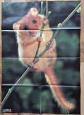 Tier poster medizini gebraucht kaufen  Brilon