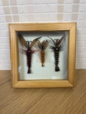 Vintage framed fly for sale  WALSALL