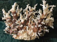 Large vintage coral d'occasion  Expédié en Belgium