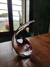 Bellissimo pesce violaceo usato  Roma