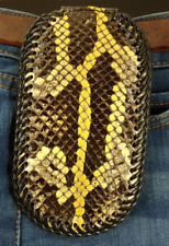 Burmese python coin for sale  Silver Springs