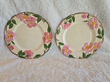 Franciscan earthenware desert for sale  Dillon