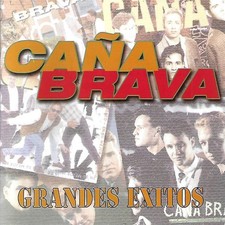 Grandes Exitos by Cana Brava (CD, 2000(), usado comprar usado  Enviando para Brazil