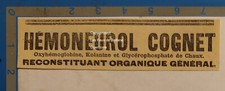 Hemoneurol cognet kolanine d'occasion  Beaumont-de-Lomagne