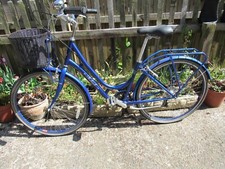 Girls ladies raleigh for sale  MORPETH