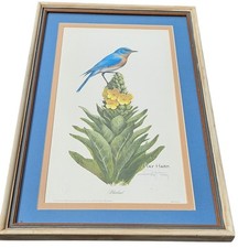 Artist signed ray for sale  Canton