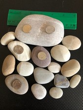 700gm various size for sale  LEISTON
