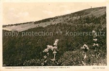 Feldberg schwarzwald panorama gebraucht kaufen  Deutschland