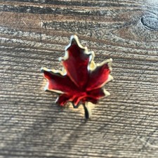 Vintage canadian maple for sale  ILFRACOMBE