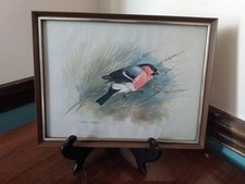 Signed basil ede for sale  Richboro