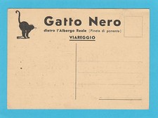5652 gatto nero usato  Montione
