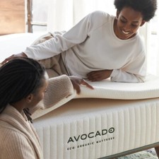 Avocado eco organic for sale  San Antonio