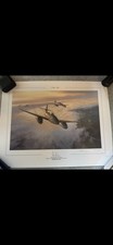 Messerschmitt me262 signed for sale  WORCESTER PARK