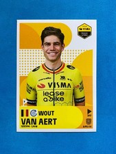 Figurine stickers panini usato  Italia
