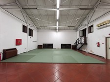 Tatami tradizionali per usato  Italia