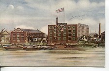 Farmiloe nine elms for sale  NORTHALLERTON