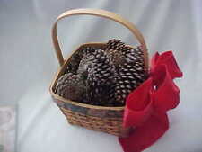 Large basket pine for sale  Knoxville