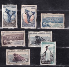 Terre australi francesi usato  Roma