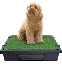 Petsafe pet loo for sale  San Tan Valley