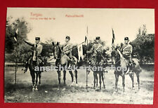 Militär torgau 1906 gebraucht kaufen  Dresden