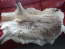reindeer hide for sale reindeer hide for sale UK