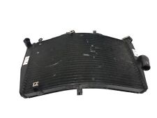 Radiatore acqua honda usato  Italia