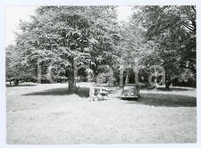 1979 subiaco picnic usato  Milano