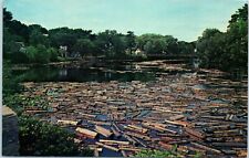 Vintage postcard skowhegan for sale  Chandler