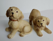 Labrador retriever young for sale  Batavia