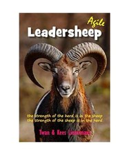 Agile leaderheep lintermans gebraucht kaufen  Trebbin