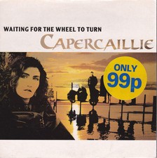 Capercaillie - Waiting For The Wheel To Turn (VINYL) comprar usado  Enviando para Brazil