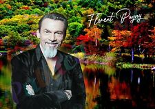 Florent pagny d'occasion  Charleville-Mézières