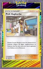 Prof. euphorbe sl01 d'occasion  Romans-sur-Isère
