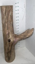 Driftwood terrarium beach for sale  Brookwood