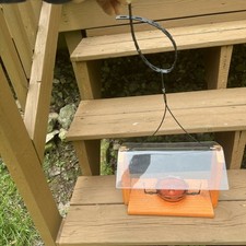 oriole bird feeders for sale oriole bird feeders for sale Roaring Spring