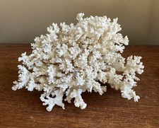 corals reef for sale corals reef for sale  Haymarket