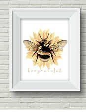 Bee tiful honey for sale  Vancouver