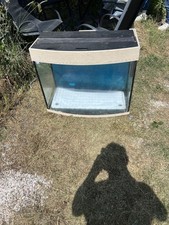 Bow fronted fish for sale  GRAVESEND