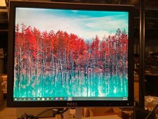 Monitor LCD giratório Dell UltraSharp 1707FPt 17" DVI, VGA, 4 portas USB prata comprar usado  Enviando para Brazil