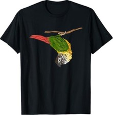 Green cheek conure for sale  USA