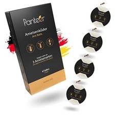Panteer lattina esca usato  Roma