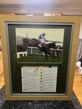 Best mate horseracing for sale  WALLINGFORD
